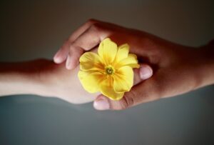 Blume